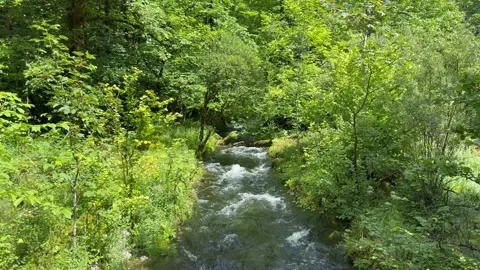 Tiny mountain river between Obersee Lake and Konigssee Lake. Bavaria, Germany Stock Footage 337882100