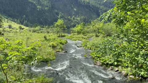 Tiny mountain river between Obersee Lake and Konigssee Lake. Bavaria, Germany 動画素材 337882115