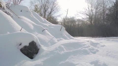 Tiny mouse leaving its burrow crossing snowy field Video stock 293082079
