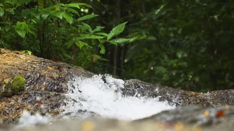Tiny Natural Waterfall in Phuket, Thailand Wilderness Area Stock Footage 82405063