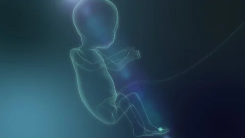 Tiny Newborn Baby's on X ray Conceptual Futuristic. 3D animation. 4K 库存影片 123746088