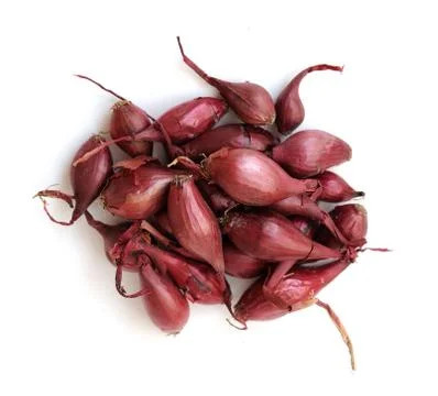 Tiny onion Stock Photos