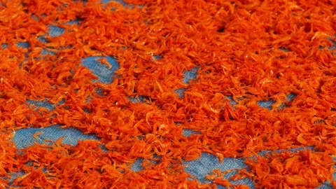 Tiny orange dried shrimp sun-drying on blue fishing net, close-up texture of Stock Footage 346223221