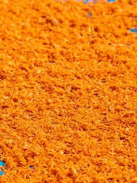 Tiny orange dried shrimp sun-drying on blue fishing net, close-up texture o.. Stock Photos