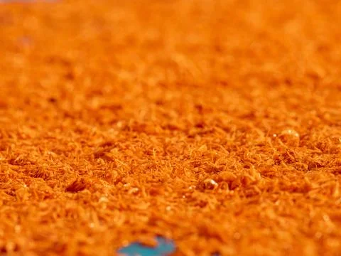 Tiny orange dried shrimp sun-drying on blue fishing net, close-up texture o.. Stock Photos
