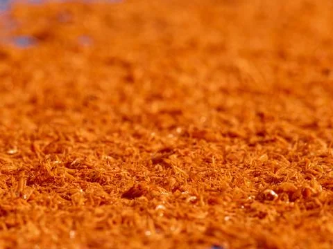 Tiny orange dried shrimp sun-drying on blue fishing net, close-up texture o.. Stock Photos