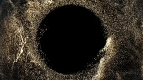 Tiny particles flow and swirl in mesmerizing vortex Stock Footage 230173749