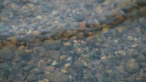 Tiny pebbles in the water Stock Footage 136480722