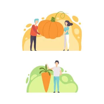 Tiny People Holding Huge Vegetables, Man and Woman Standing with Pumpkin and Stock Illustration