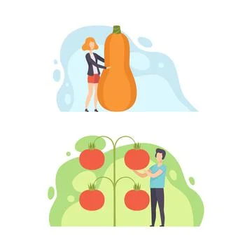 Tiny People Holding Huge Vegetables, Man and Woman Standing with Zucchini and Stock Illustration