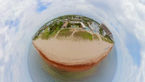 Tiny planet aerial video sargassum seaweed on the shore Fort Lauderdale Flori Stock Footage 336704240