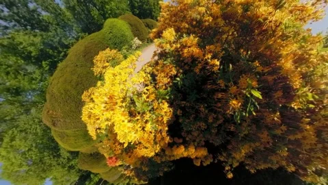 Tiny planet garden bloom 360-degree view of a vibrant blooming garden filled Stock Footage 309633891