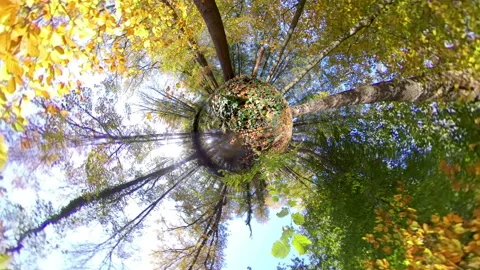Tiny planet globe with full colored leaves in autumn 스톡 동영상 143996955