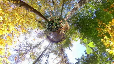 Tiny planet globe with full colored leaves in autumn Video stock 143997139