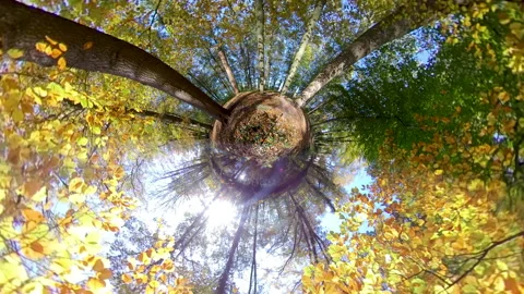 Tiny planet globe with full colored leaves in autumn Video stock 143997386