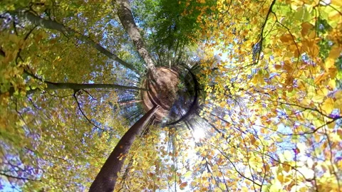 Tiny planet globe with full colored leaves in autumn Video stock 143997418