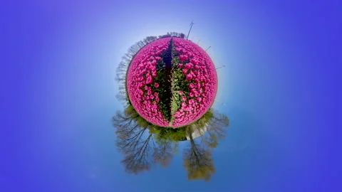 Tiny planet globe with full colored tulip flowers and wind turbine Video stock 144602167