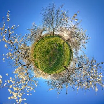A tiny planet of an orchard in bloom. Stock Photos