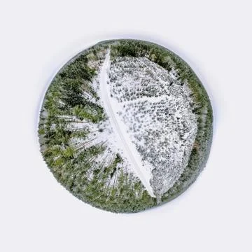 Tiny planet woodland Foto stock