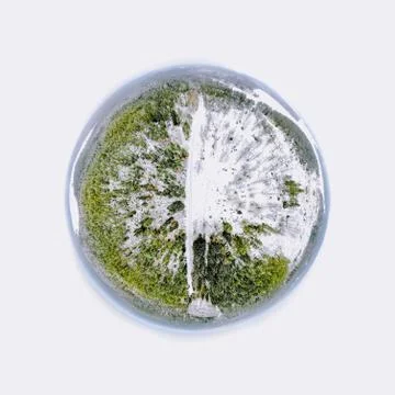 Tiny planet woodland Foto stock