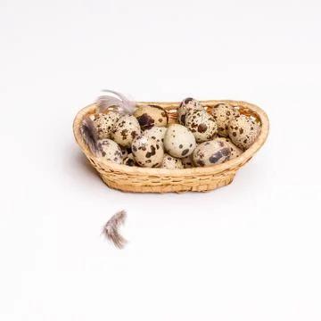 Tiny quail eggs 库存照片