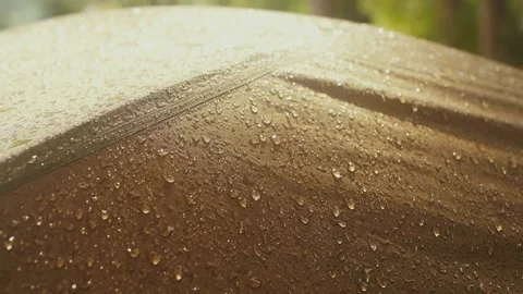 Tiny raindrops shining on the top of tent at dawn Stock Footage 151116939