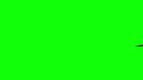Tiny Reptile Racing Animation on Green Screen Stock Footage 303867609