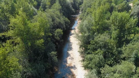Tiny river is flowing in between the trees 스톡 동영상 116963764