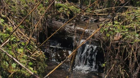 Tiny river in the mountains in Romania snow with rain Stock Footage 122609667