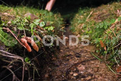 Tiny river Stock Photos