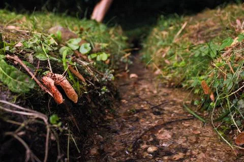 Tiny river Stock Photos