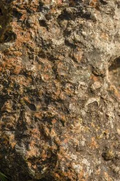 Tiny round dots of yellow lichen on a rock illuminated by the light of the su Stock Photos