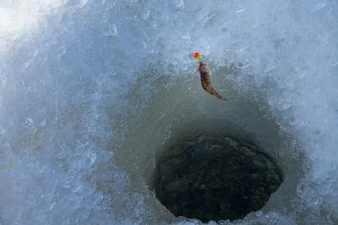 Tiny ruff pecked and caught on large jig Stock Photos