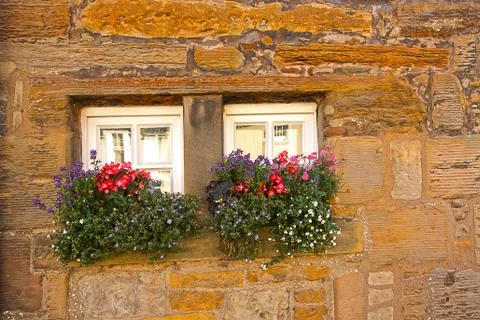 Tiny scottish windows with flowers Stock Photos