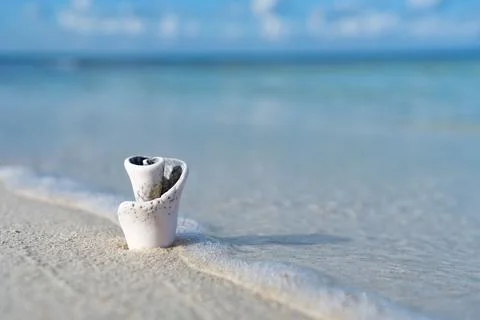 Tiny seashell on the white sand beach and crystal clear sea. Vacation and travel Stock Photos