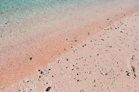 Tiny seashells on the beach with pink sand Stock Photos