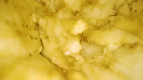 The tiny seeds of the eggplant inside the fruit Видео 138536421