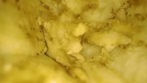 The tiny seeds on the flesh inside the eggplant Stock Footage 135701343