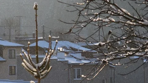 Tiny snowflakes in the winter wind Stock Footage 132251550