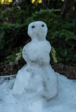 Tiny Snowman Lingers in a snow Patch that remains on a summer trail Photos