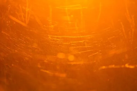 Tiny spider web Stock Photos