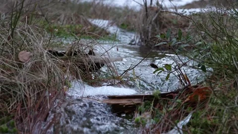 Tiny spring 스톡 동영상 195999830