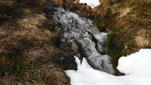 Tiny spring stream Stock Footage 92349656