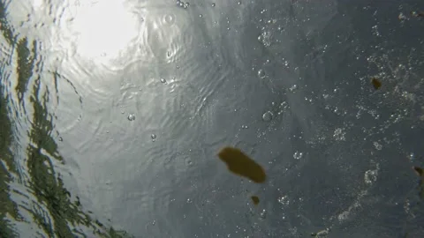 Tiny Stones Drop On Clearwater Ocean Making Bubbles. Close Up Stock Footage 182462297