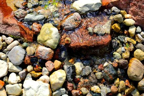 A tiny stream flowing over rocky stones in a mountain forest Stock Photos