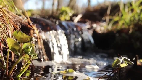 Tiny stream Video stock 75145715