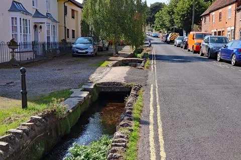A tiny stream runs through the trees and under a small bridge in an idyllic S Stock-Fotos