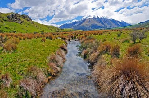 Tiny stream through a mountain meadow Photos