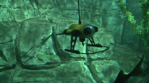 Tiny Sub Stock Footage 7729042