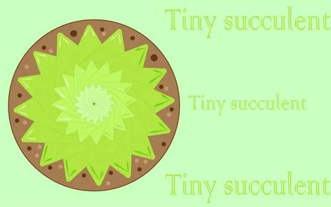 Tiny succulent plant. Stock Illustration